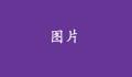 沒有標題的話，就不會顯示